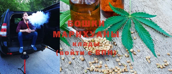 ПСИЛОЦИБИНОВЫЕ ГРИБЫ Белоозёрский