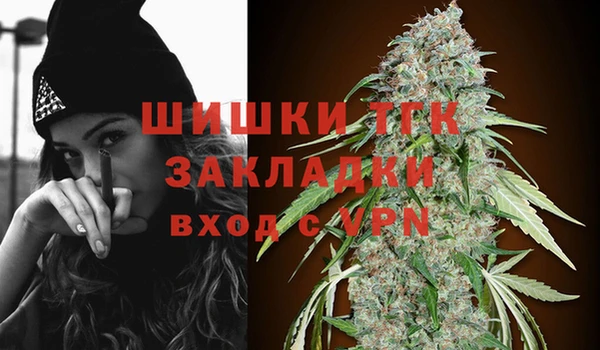 ПСИЛОЦИБИНОВЫЕ ГРИБЫ Белоозёрский