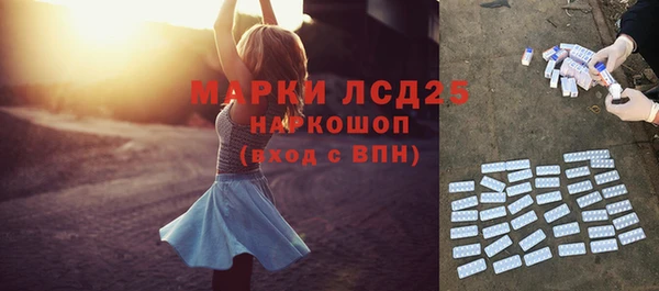 ПСИЛОЦИБИНОВЫЕ ГРИБЫ Белоозёрский